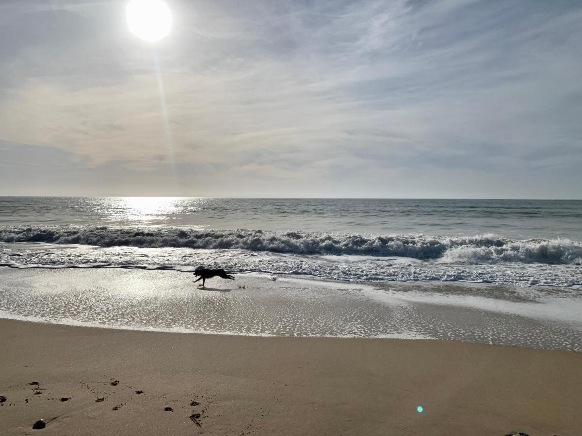 Le Bois-Plage-en-Ré Maison Face Au Soleil מראה חיצוני תמונה
