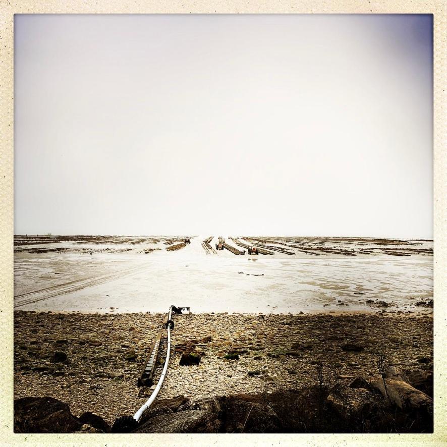Le Bois-Plage-en-Ré Maison Face Au Soleil מראה חיצוני תמונה